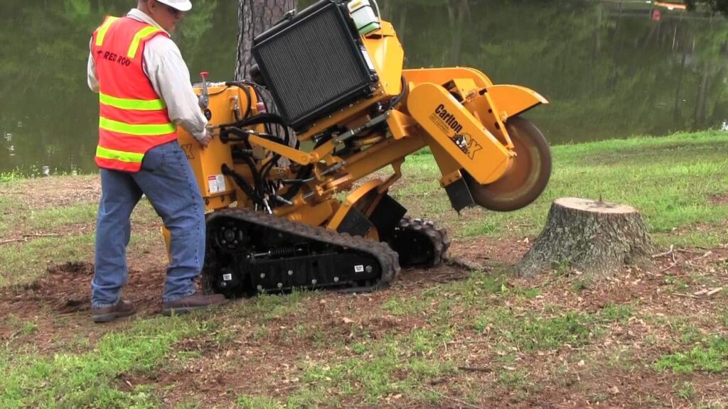 Stump Removal Sydney