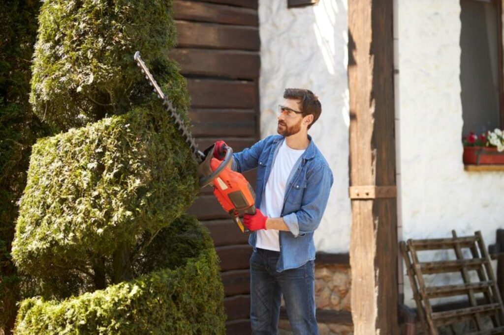 hedge shaping